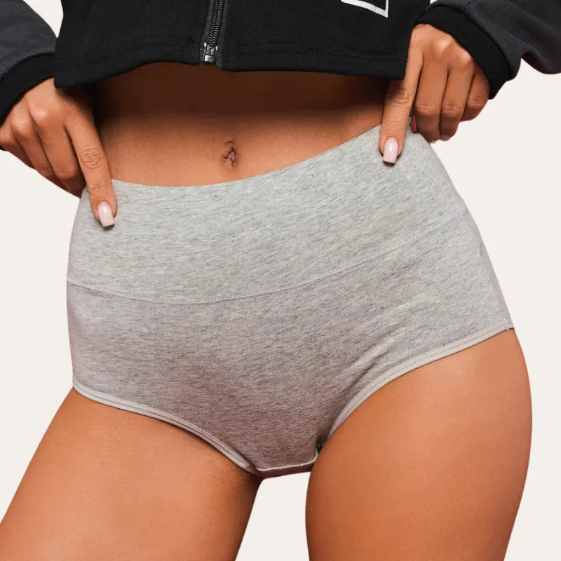 Vista frontal da cueca cinza de cintura alta – Cuecas Pure Cinza Le Liss